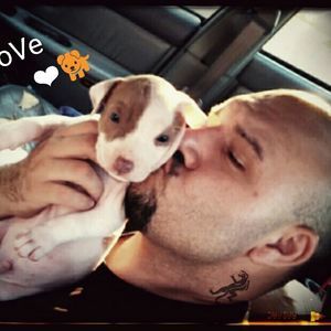 Meet your Posher, Todd